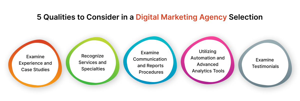 5 Qualities to Consider in a Digital Marketing Agency Selection