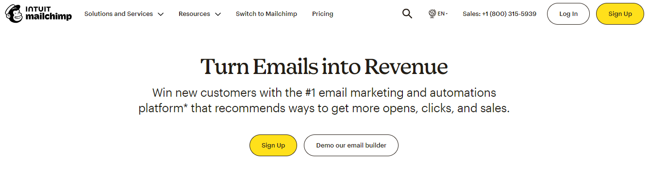 Turn Emails into Revenue